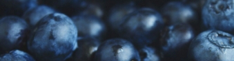 gallery/blue w web