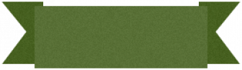 gallery/n2_banner